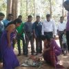 එරබදු වසන්තය 